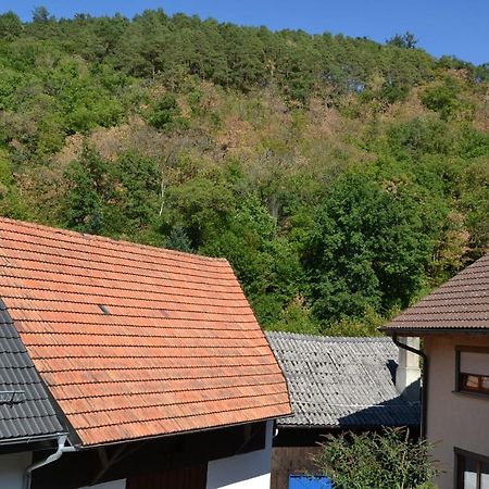 Ferienwohnung Basler Bühlertal Exteriér fotografie